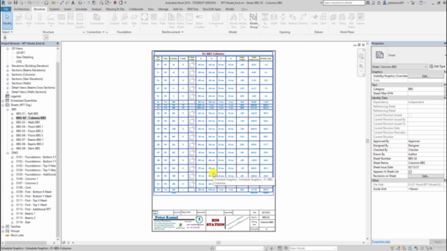 Revit 3D Reinforcement Workshop With Dynamo – Screenshot 4