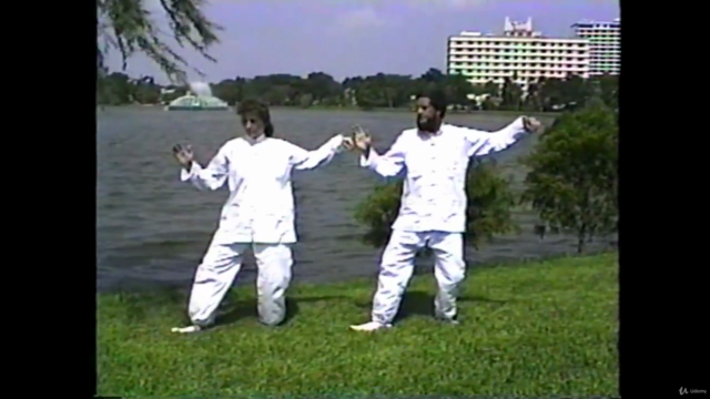 White Crane Tai Chi: 32 count form – Screenshot 3