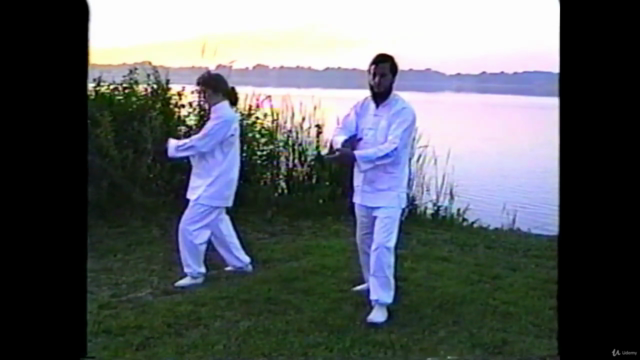 White Crane Tai Chi: 32 count form – Screenshot 4