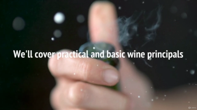 Understanding Wine: A Totally Approachable Guide to Wine 101 – Screenshot 3
