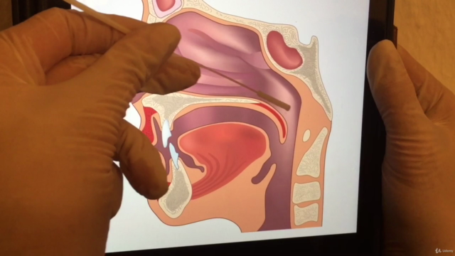 Ärztliche Unterweisung Covid-19 Schnelltest – Screenshot 3