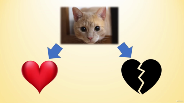 現役キャットシッターが教える、初心者向け「猫ちゃんと暮らしてハッピーになろう！」猫ちゃんとの暮らしマスターコース – Screenshot 4