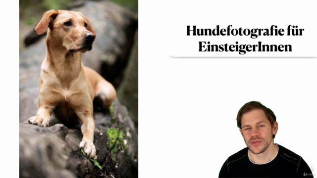 Hundefotografie für EinsteigerInnen – Screenshot 1