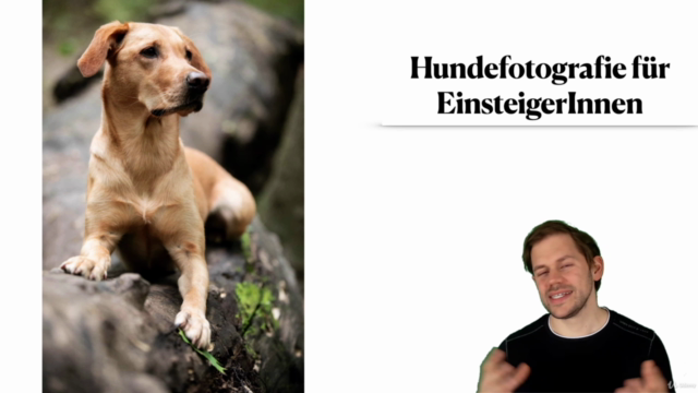 Hundefotografie für EinsteigerInnen – Screenshot 3