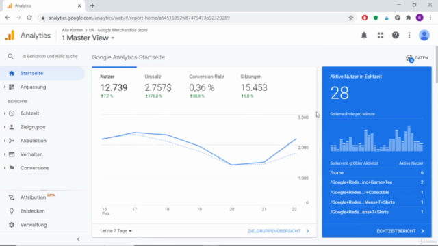 Google Analytics Meisterkurs: Der praktische A-Z Leitfaden! – Screenshot 1