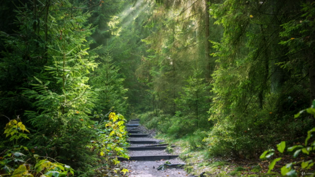 Your Mystic Christian Journey Easy Start Up Course 101 – Screenshot 4