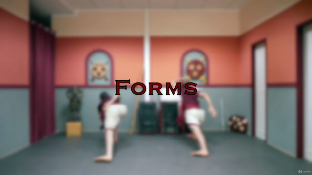 Kalari I - Kalaripayattu Weapon & Barehand Fighting – Screenshot 2