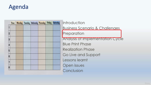 SAP ERP Implementation full from Remote (Experience sharing) – Screenshot 1