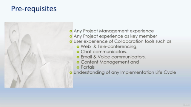 SAP ERP Implementation full from Remote (Experience sharing) – Screenshot 4