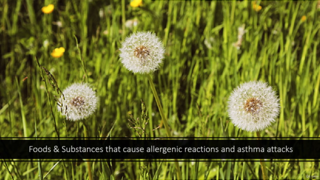 Treating Allergies and Asthma with Alternative Medicine – Screenshot 1