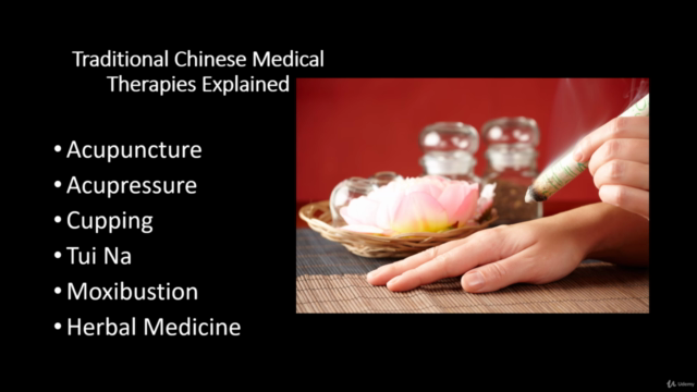Treating Allergies and Asthma with Alternative Medicine – Screenshot 2