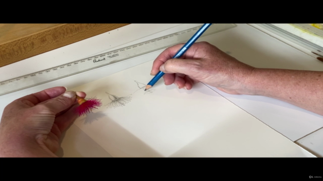 Painting Eucalyptus Flowers in Watercolour – Screenshot 1