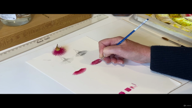 Painting Eucalyptus Flowers in Watercolour – Screenshot 3