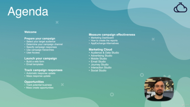 Salesforce Campaign Management – Screenshot 2