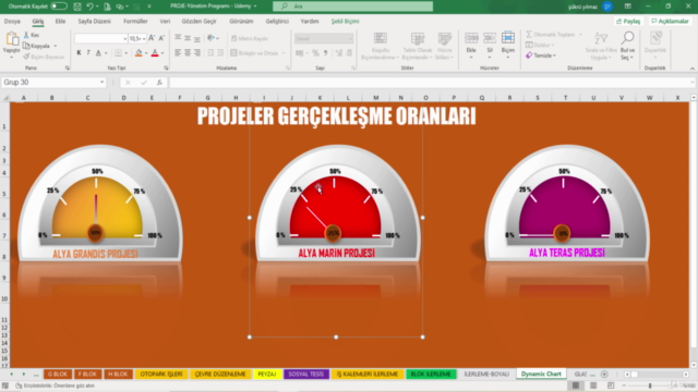 Bütçe ve İş Programı ile PROJE YÖNETİMİ PROGRAMI Yapılması – Screenshot 3