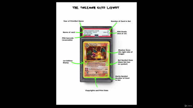 Pokemon Trading Card Investing & Collecting Course – Screenshot 4