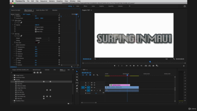 Video Editing in Adobe Premiere Pro 2020 – Screenshot 3