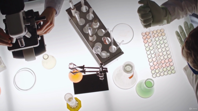 Biohacking Habit Toolkit β Screenshot 2
