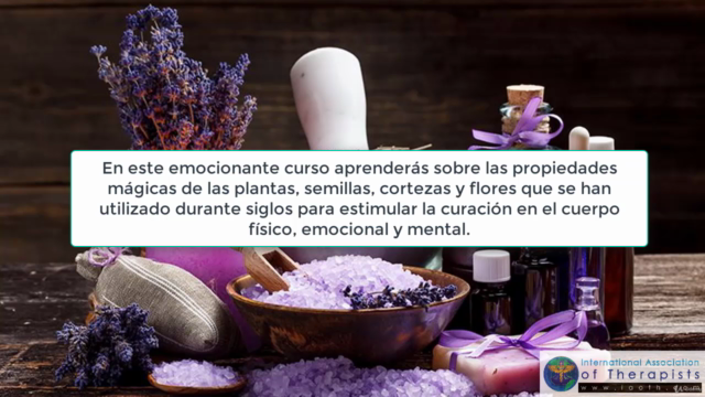 Diploma Acreditado de Aromaterapia 1:Aromaterapia para todos – Screenshot 1