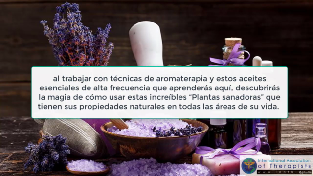 Diploma Acreditado de Aromaterapia 1:Aromaterapia para todos – Screenshot 3