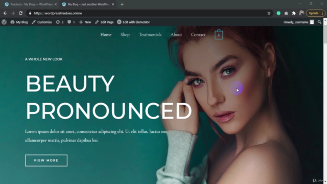 How to Make an eCommerce Website with WordPress For Beginner – Screenshot 1