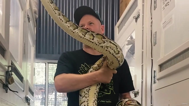 Reptile Series: A Guide to Choosing Your First Snake – Screenshot 2