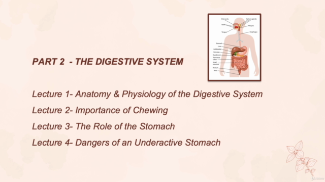 ALL DISEASE BEGINS IN THE GUT (Ayurveda Holistic Nutrition) – Screenshot 2