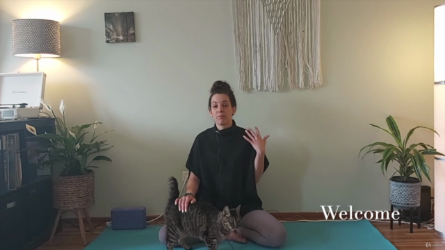 Manage Anxiety and Stress with Mindfulness & Yoga Tools - Screenshot_02