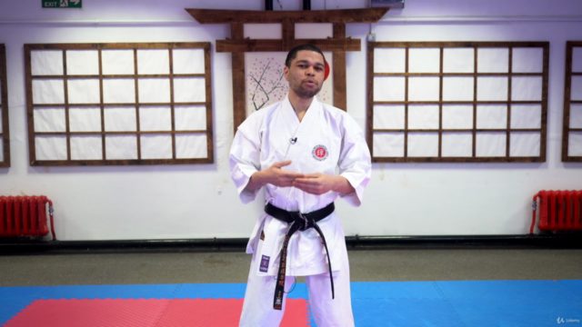 Shotokan Karate for Beginners – Screenshot 2