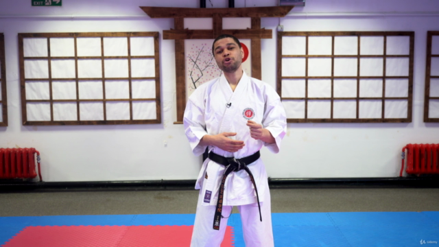 Shotokan Karate for Beginners – Screenshot 4