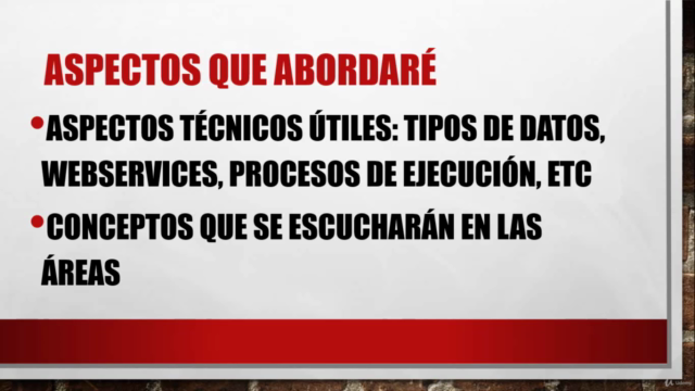 Curso Intensivo de Analista Funcional - SALIDA LABORAL – Screenshot 4