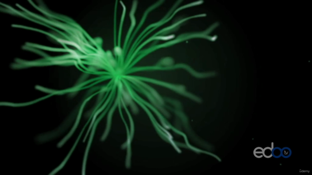 Max Planck, the incredible world of quanta – S. Lee Glashow – Screenshot 1