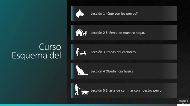 Adiestramiento canino / Nivel 1 – Screenshot 4