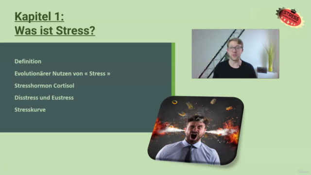 Stress Management Meisterkurs: Lerne über Stress, NLP, PMR – Screenshot 2