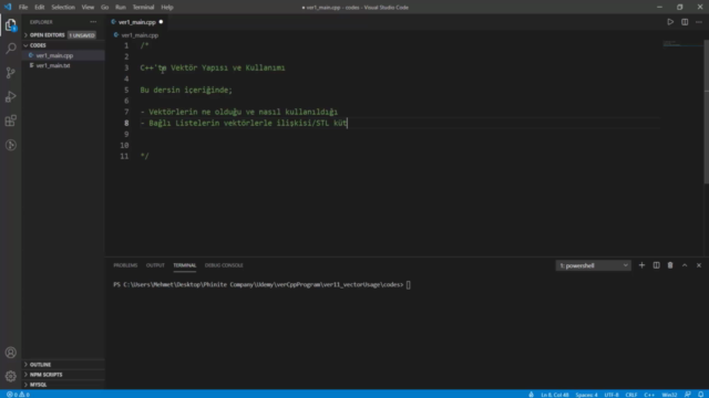 Vektörler | İleri Seviye C/C++ Programlama – Screenshot 1