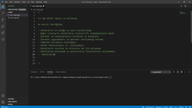 Vektörler | İleri Seviye C/C++ Programlama – Screenshot 3