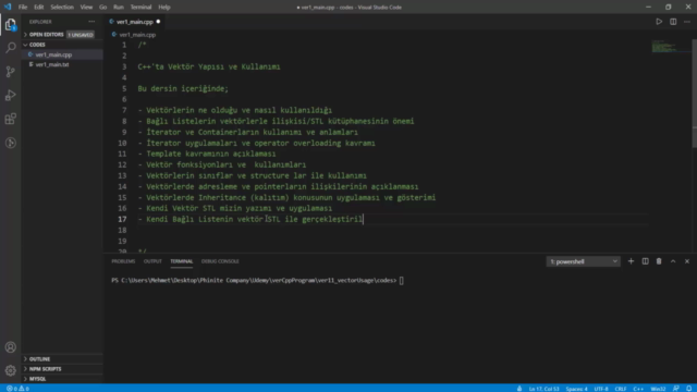 Vektörler | İleri Seviye C/C++ Programlama – Screenshot 4