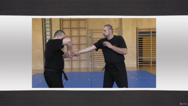 Kampfkunst Hebel Technik 33 Programm – Screenshot 2