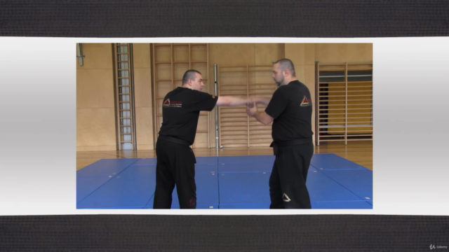 Kampfkunst Hebel Technik 33 Programm – Screenshot 3