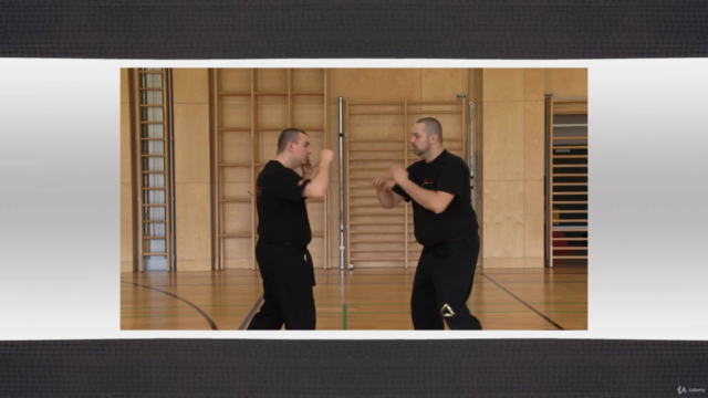 Kampfkunst Hebel Technik 33 Programm – Screenshot 4