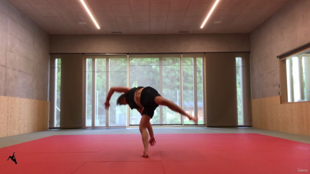 Flips & Kicks — Expert Guide to Martial Arts & Gymnastics – Screenshot 1