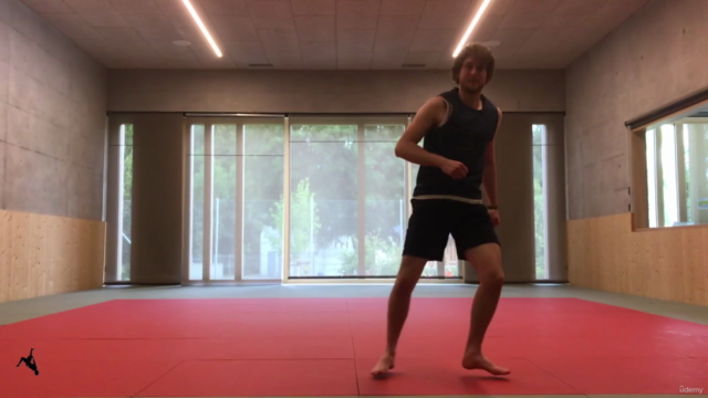 Flips & Kicks — Expert Guide to Martial Arts & Gymnastics – Screenshot 2