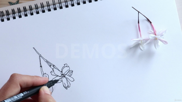Learn To Draw: A Complete Course For Beginners To Improvers – Screenshot 3