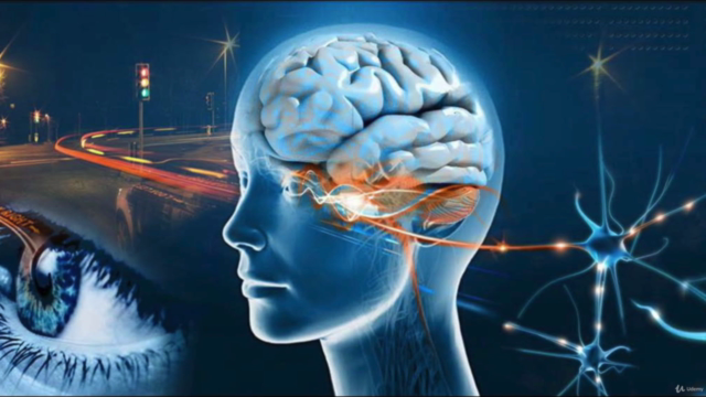 Neuroscience and Psychology: Visual Perception – Screenshot 1