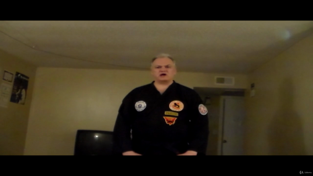 Okinawan Goju-Ryu Karate – Screenshot 1