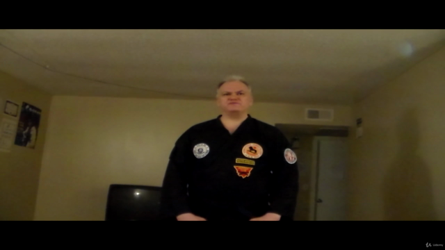 Okinawan Goju-Ryu Karate – Screenshot 2