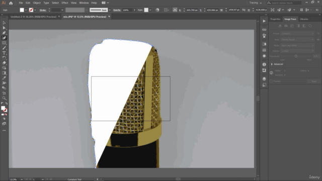 Master Image tracing with Adobe Illustrator – Screenshot 4