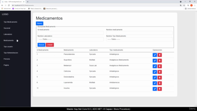 Master Asp.Net Core 6.0 (ADO .NET +3 Capas+ Store Procedure) – Screenshot 2