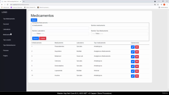 Master Asp.Net Core 6.0 (ADO .NET +3 Capas+ Store Procedure) – Screenshot 3