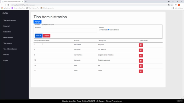 Master Asp.Net Core 6.0 (ADO .NET +3 Capas+ Store Procedure) – Screenshot 4